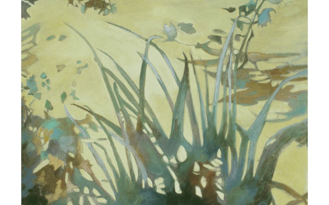 Shadow Field (SOLD)