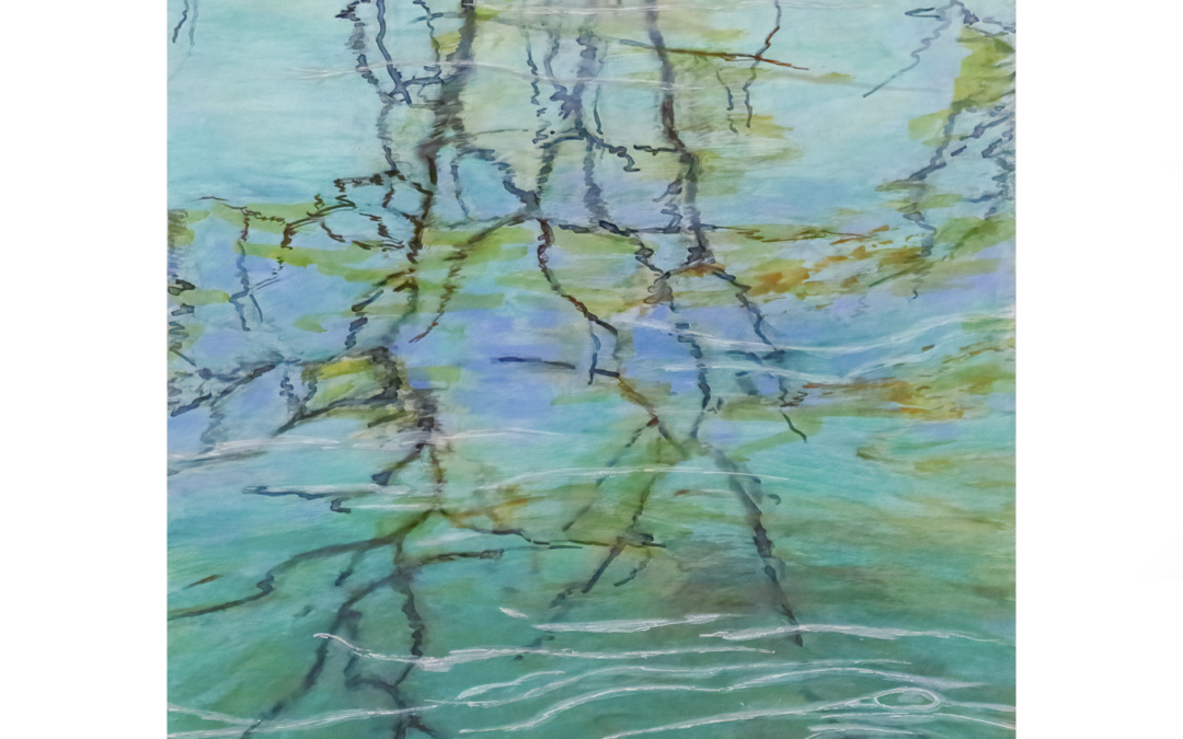 Study #1 – Bayou Spring